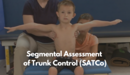 Segmental Assessment of Trunk Control (SATCo)