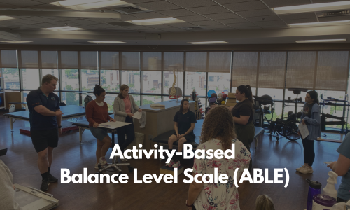 Activity-Based Balance Level Scale (ABLE)