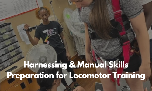 Harnessing and Manual Skills Preparation for Locomotor Training